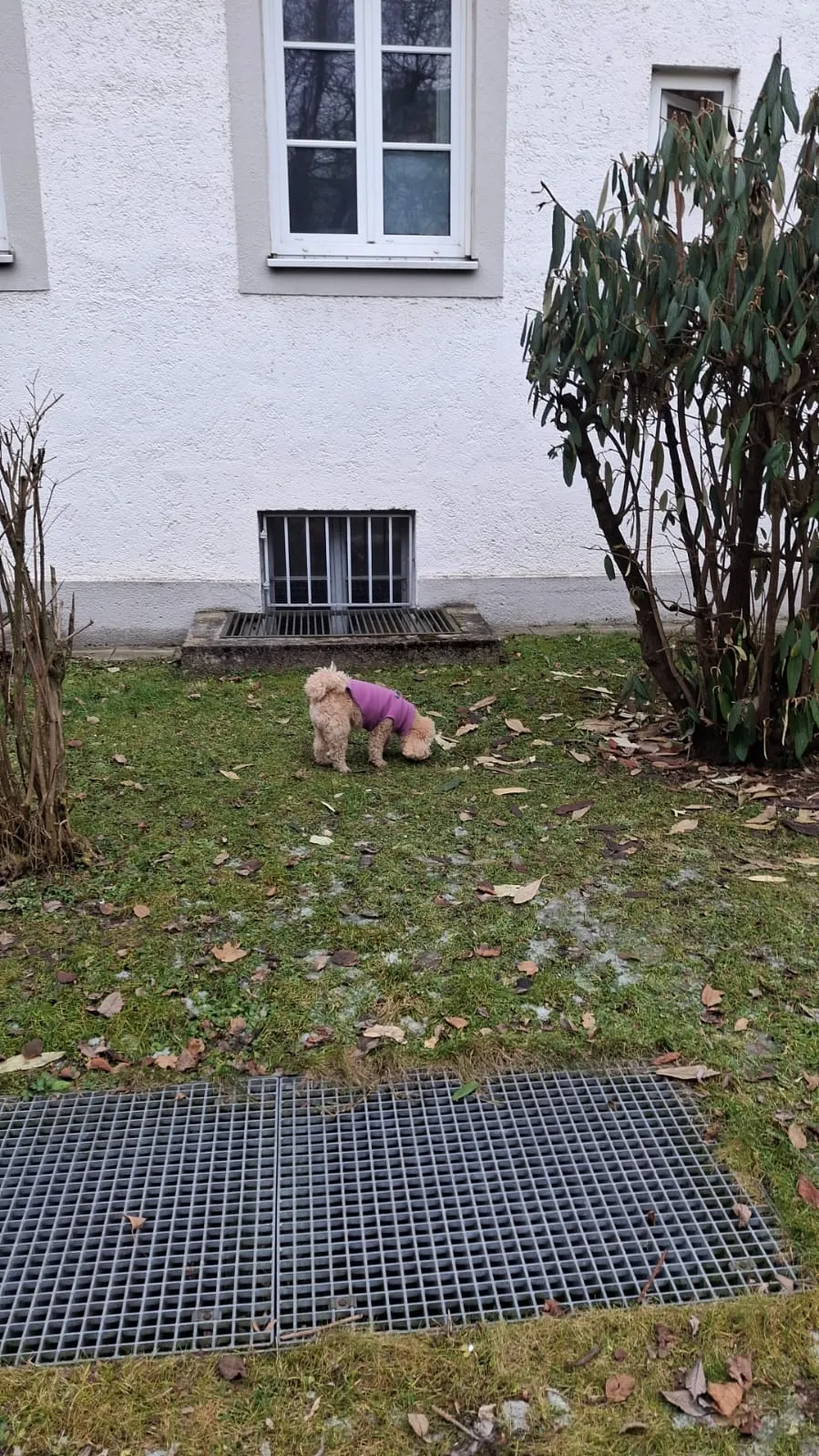 vor dem Haus...nach Suche!