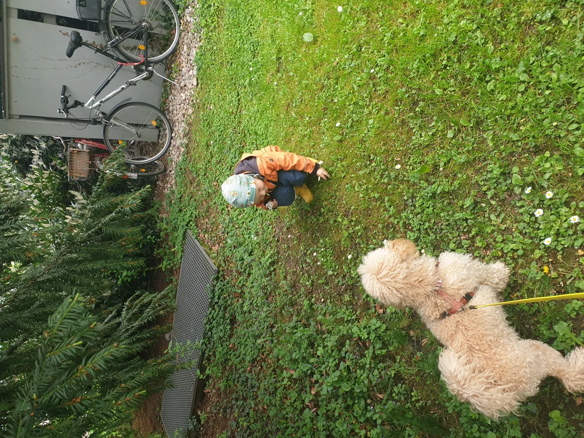 ich spiele gerne auch mit den kindern)