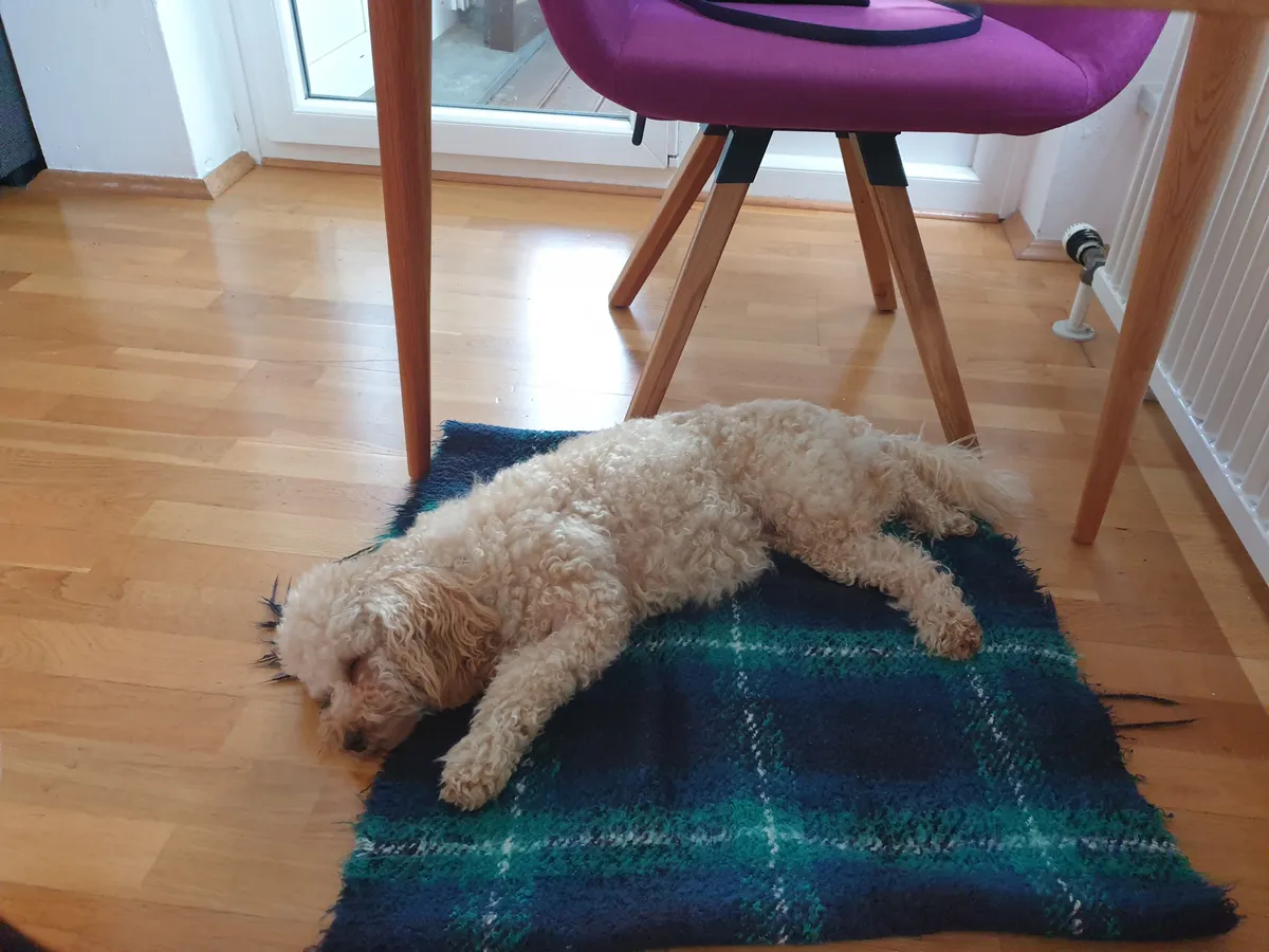 danach schlafe ich um die energie zu tanken!